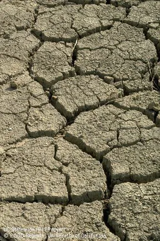 Drought-Afflicted Soil