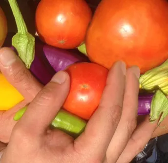 Garden produce
