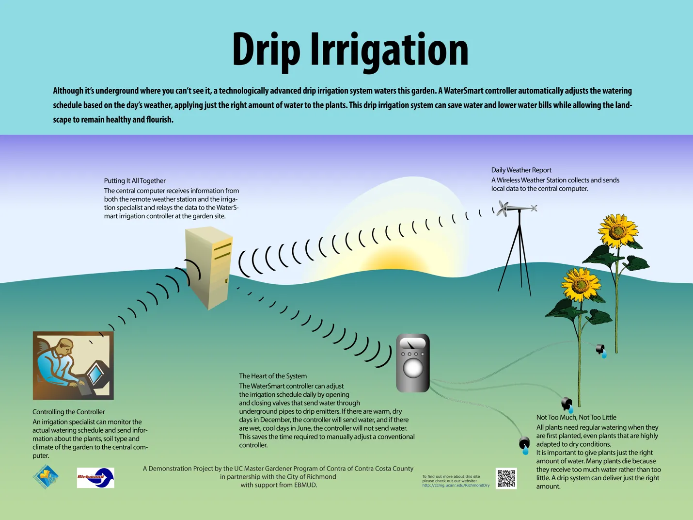 IrrigationGraphic